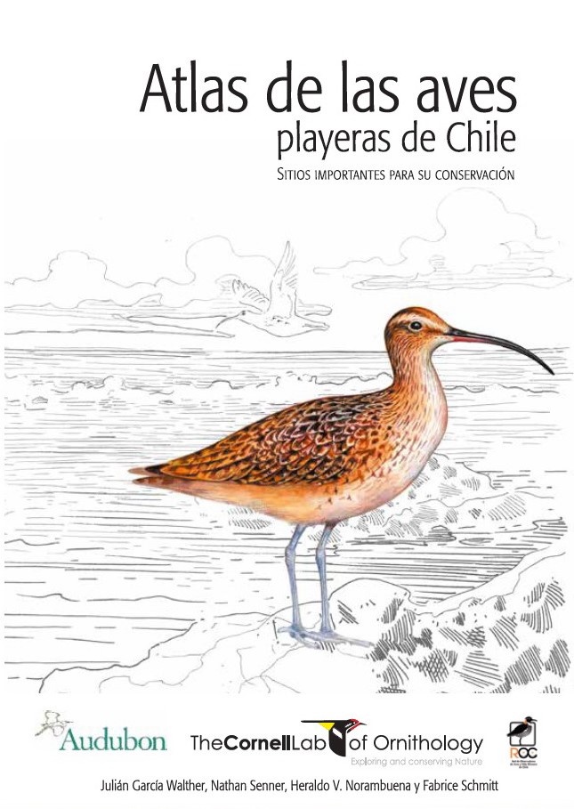 Cover of Chile Shorebird Atlas