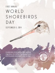 shorebirdposter_concepts3