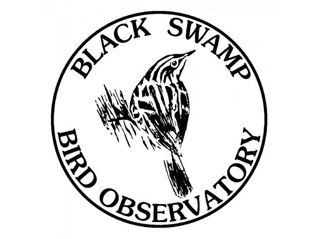 blackswampbirdobs_logo