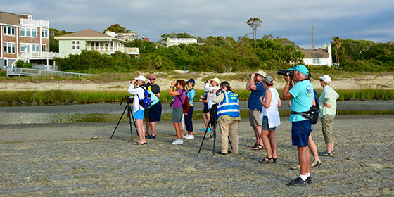 nat-101-shorebird-field-trip4