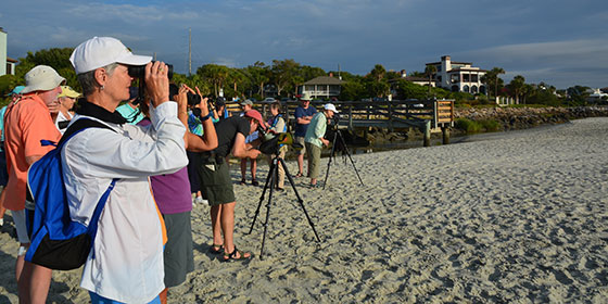 nat-101-shorebird-field-trip5