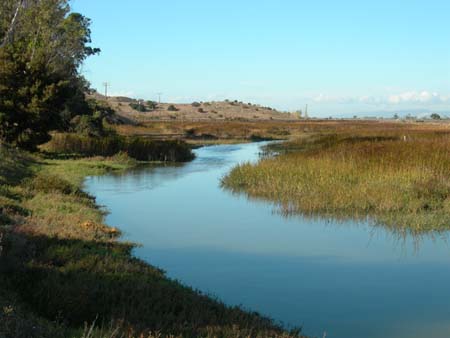 LaRiviere Marsh