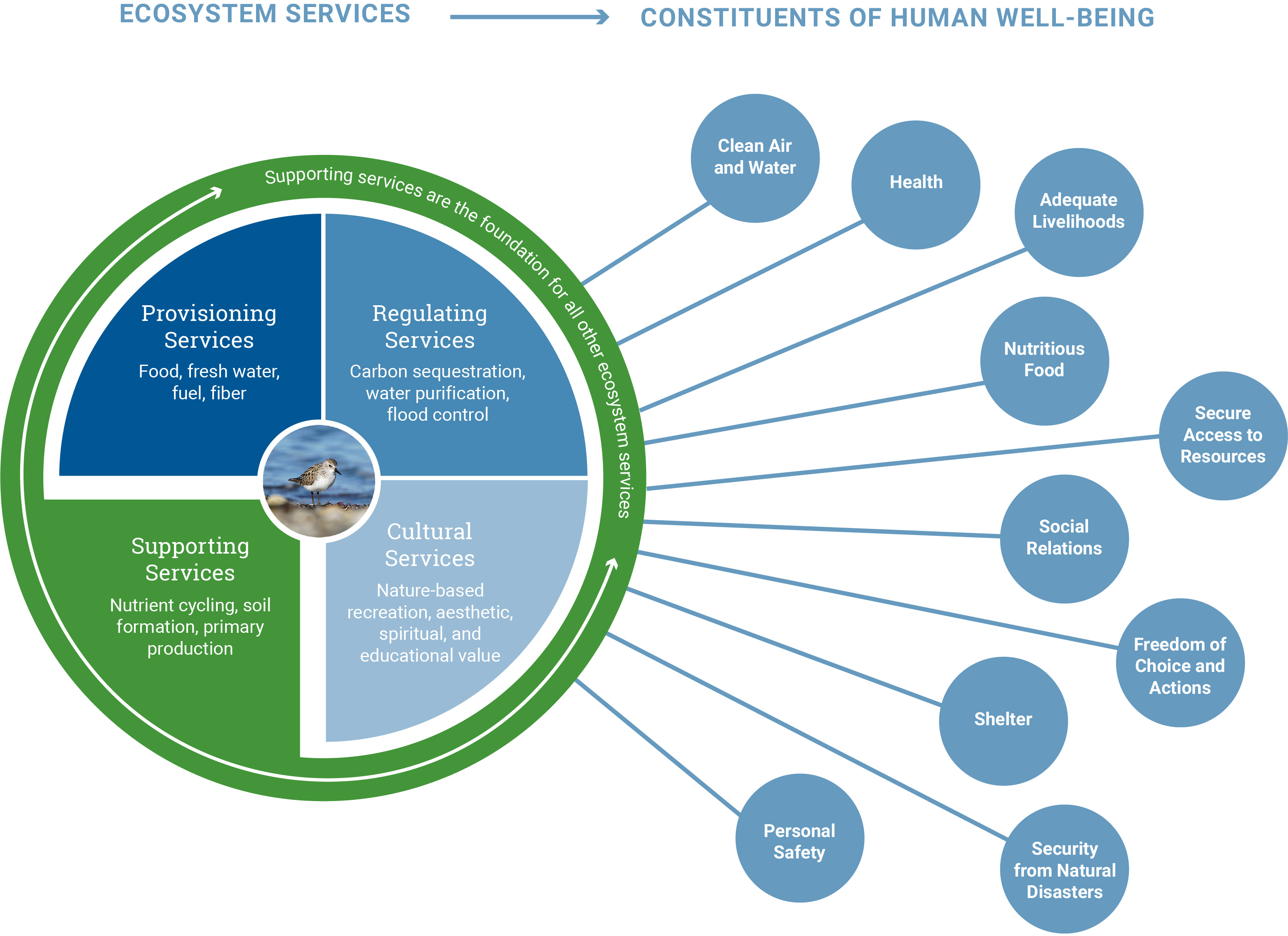 ecosystem services research paper