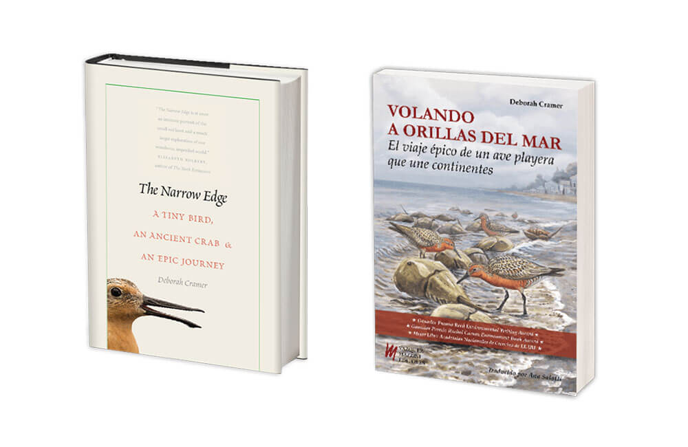 bookcovers_enandes
