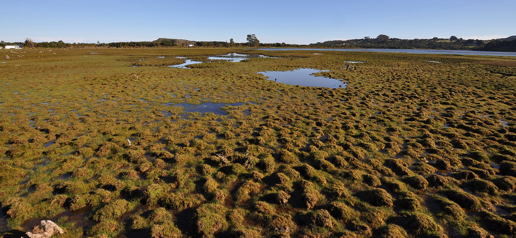 Ecosystem Services and Nature Sanctuaries in Maullín and Chiloé, Chile