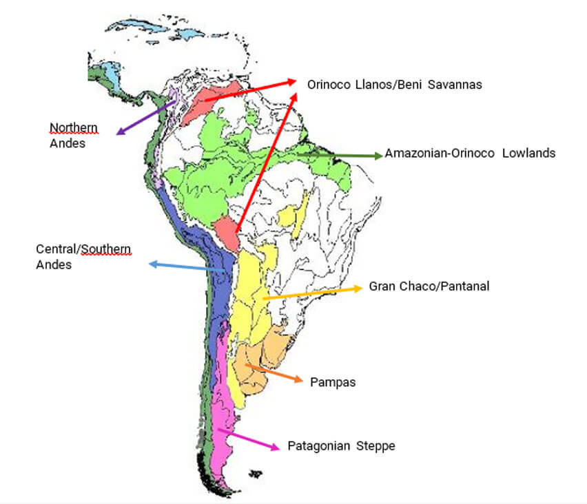 msci_map2southamericaeng