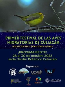 Get Ready to Celebrate World Migratory Bird Day 2022- Dim the Lights for  Birds at Night! – BirdsCaribbean
