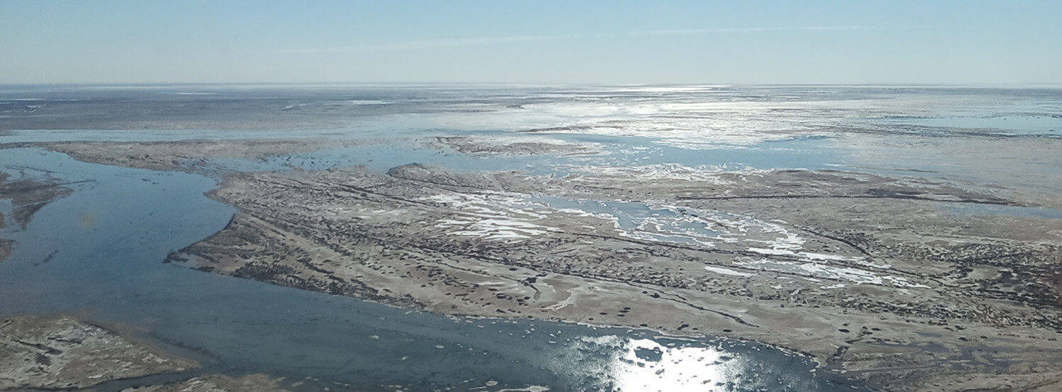 Monitoring shorebirds in the Colorado River Delta: A conservation ...