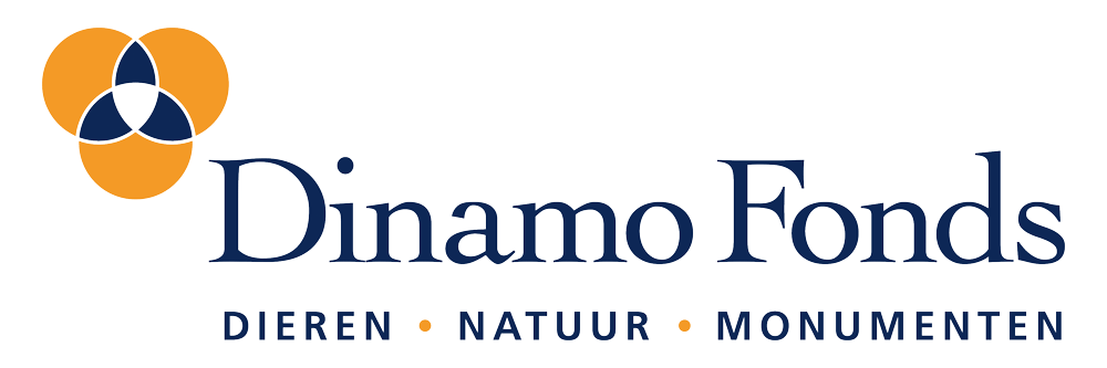 dinamo-logo-rgb
