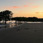 Playa El Agallito y Playa El Retén: Un Nuevo sitio RHRAP / WHSRN de Importancia Internacional en Panamá