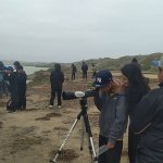 Implementing “Discovering Shorebirds” Curriculum in Las Salinas de Huentelauquén, Chile