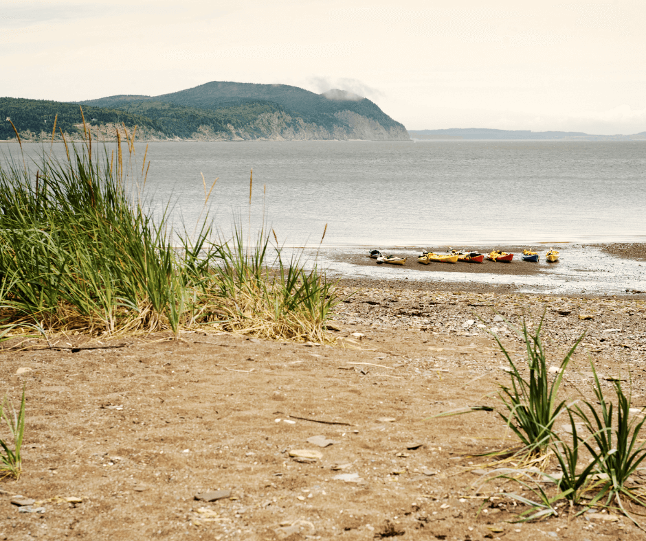 Bay of Fundy