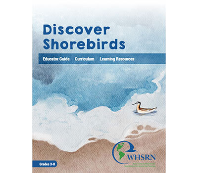 curriculum_thumbnail_resources