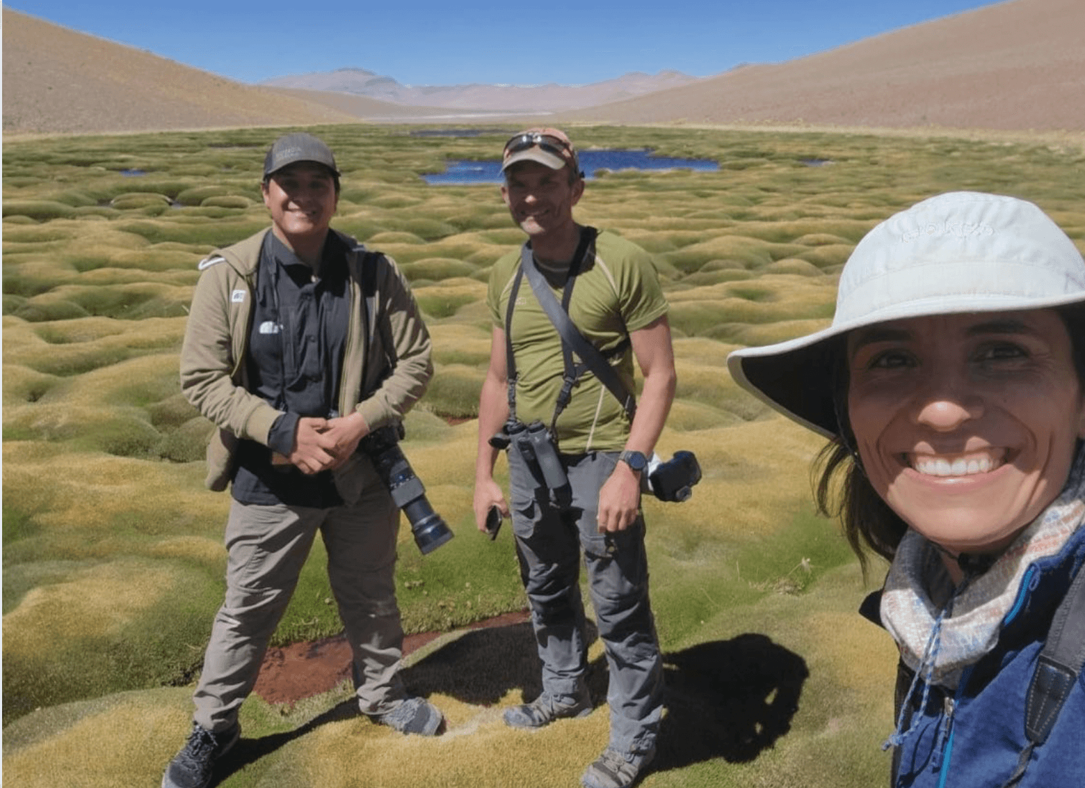 screenshot-2025-07-08-at-00.26.45