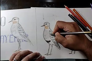 web_tallerdibujo_ppp