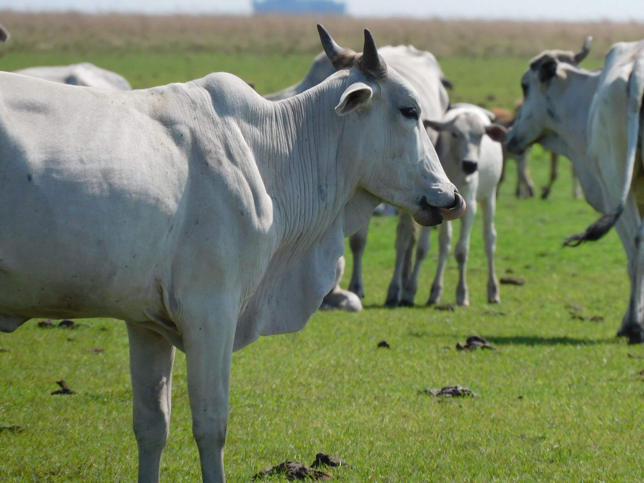 218bbcd0-478c-4c86-94c4-594794de3ce3