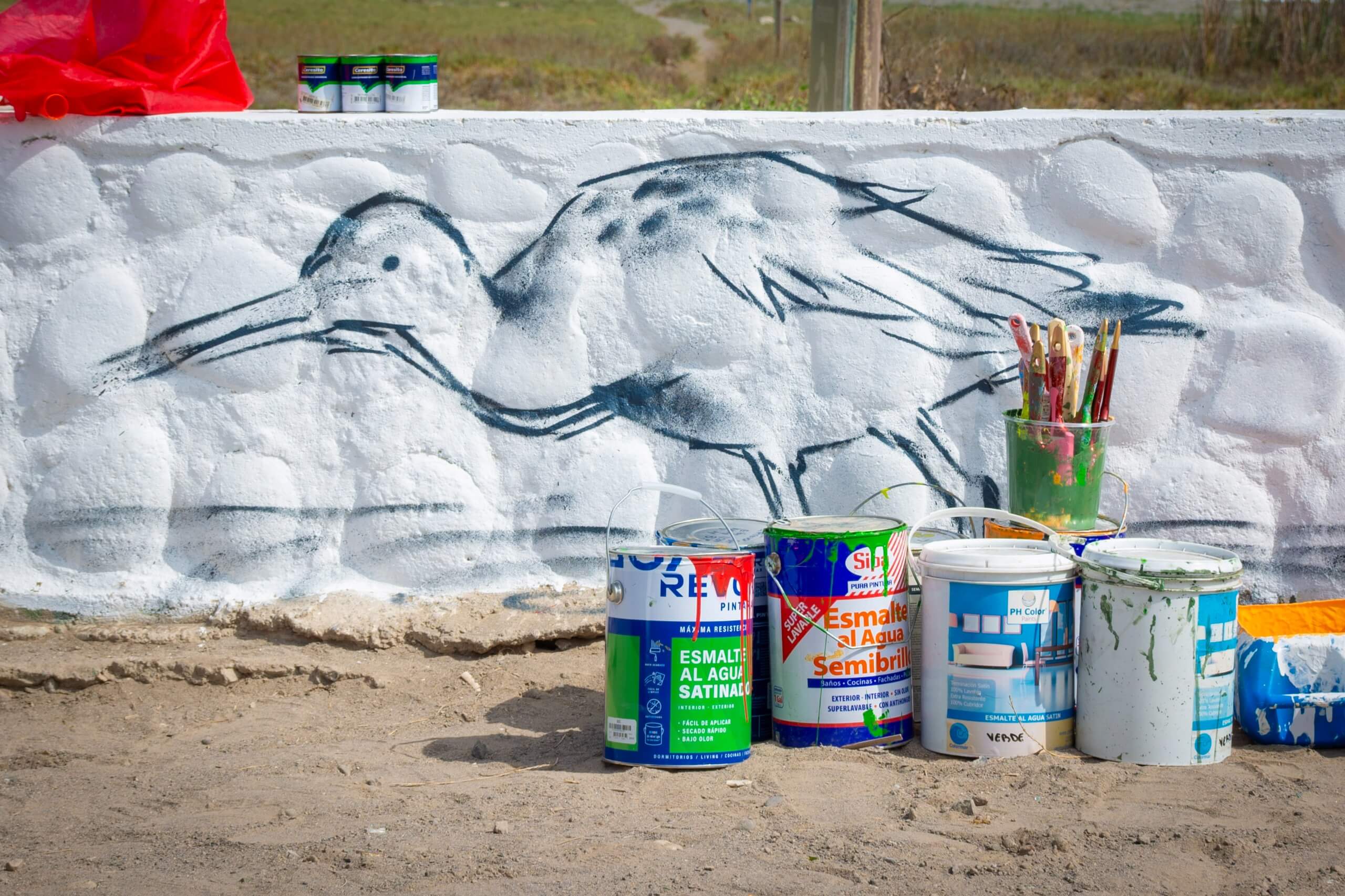 mural-sobre-aves-playeras-07_10-julio-2025