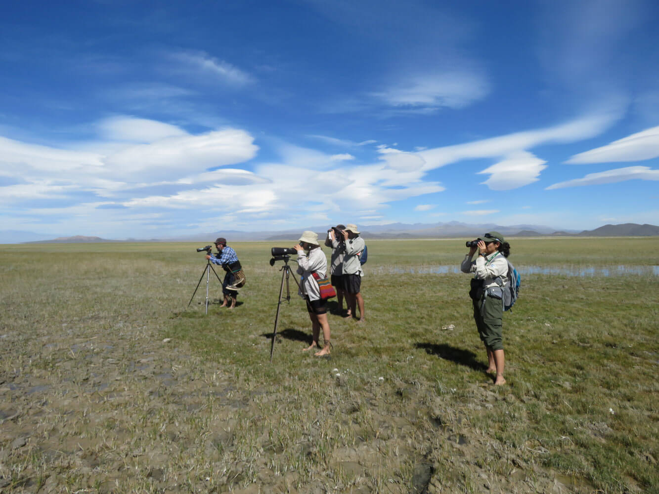 grupo-censistas-orillas-banados-de-carapacho.-vegetacion-hidrofila-mallinal-h.sosa_
