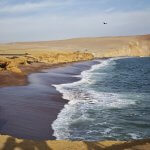 Celebrando 40 Años de RHRAP/WHSRN en Paracas, Donde el Mar y el Desierto se Encuentran