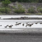 El viaje de una joven conservacionista en Nicaragua