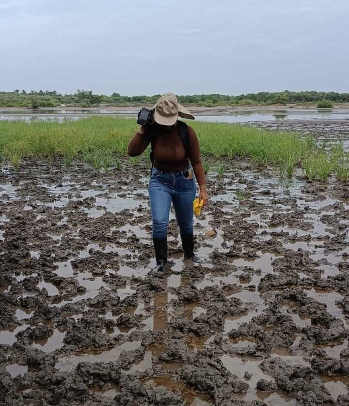 55154158599_c6d1879691_o