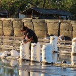Mujeres de Sal: Las guardianas de las aves playeras en Honduras