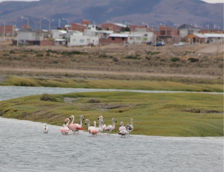 the-city-of-puerto-san-julian-located-on-the-northern-shore-of-the-bay-is-home-to-approximately-20000-residents-and-maintains-a-close-relationship-with-the-coastal-ecosystem.-key-activities-ass the-city-of-puerto-san-julian-located-on-the-northern-shore-of-the-bay-is-home-to-approximately-20000-residents-and-maintains-a-close-relationship-with-the-coastal-ecosystem.-key-activities-ass