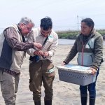 A Month Guided by the Tides