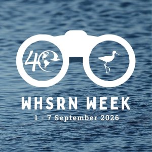 whsrn-week-3