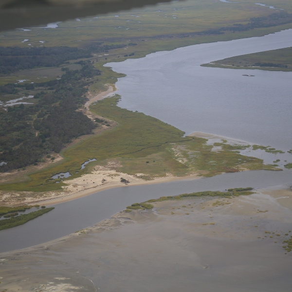 Georgia Barrier Islands – WHSRN