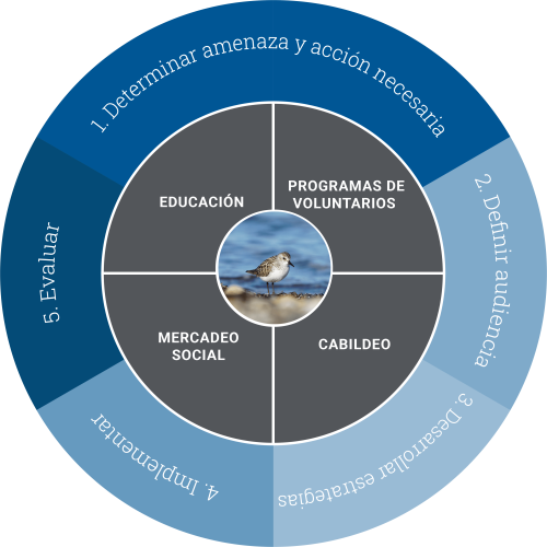 humandimensionsdiagram_spanish