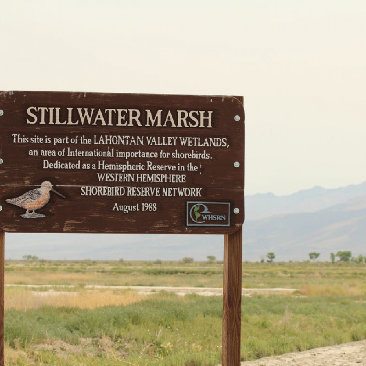 Lahontan Valley Wetlands WHSRN