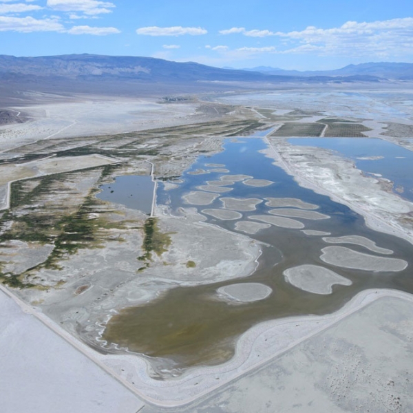 Owens Lake – WHSRN